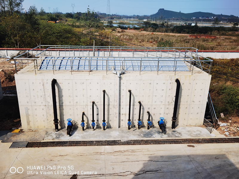 �L(zh��ng)�d��ʢˮ�|(zh��)�����(xi��ng)Ŀ